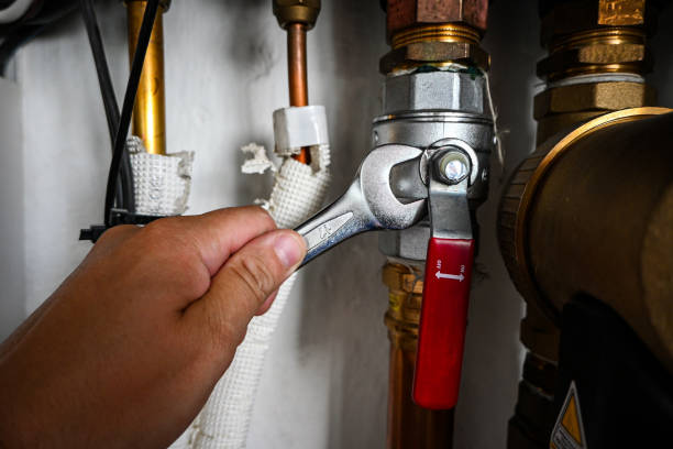 Best Clogged Drain Plumber  in North Miami, FL